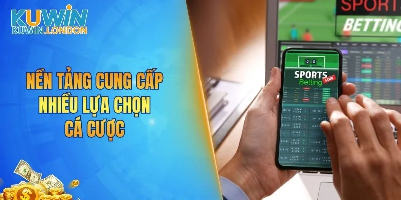Nền tảng cung cấp nhiều lựa chọn cá cược