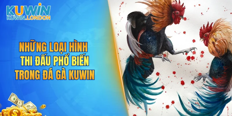 Những loại hình thi đấu phổ biến trong đá gà KUWIN